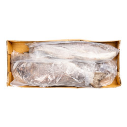 CAPITAINE EMPEREUR G/V 3/5KG 10KG