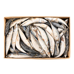 MAQUEREAU 300G+ 20KG