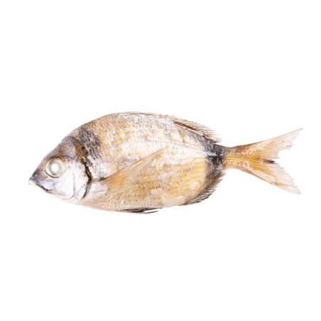 CARPE GRISE MIX 15KG