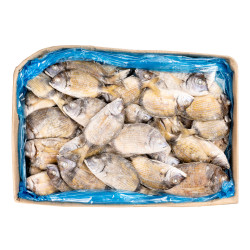 CARPE GRISE MIX 15KG