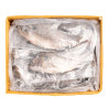 TILAPIA V/E 300/500G THAI 20%GL 4KG