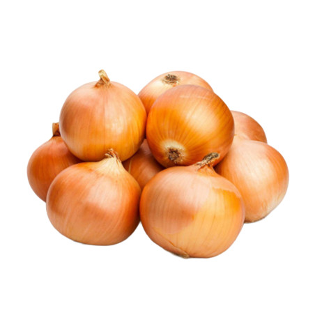 OIGNON JAUNE FILET 60-80MM 20X1KG