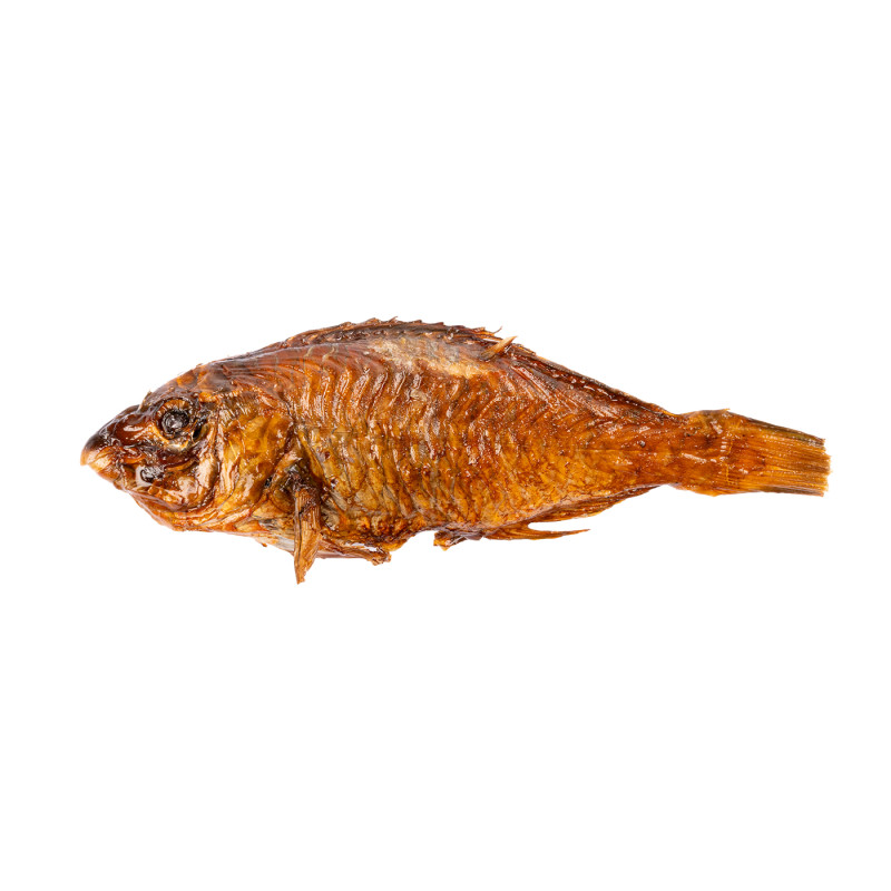 PERROQUET VIDE FUME 4KG