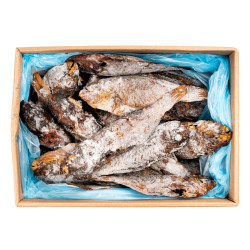 PERROQUET VIDE FUME 4KG