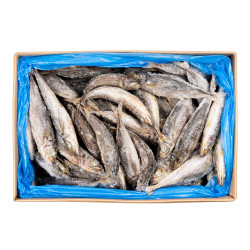 CHINCHARD 2/4 PCS 20KG