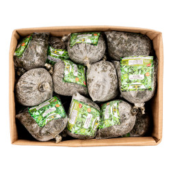 FEUILLE DE LALO-KPLALA CIV 16X500G