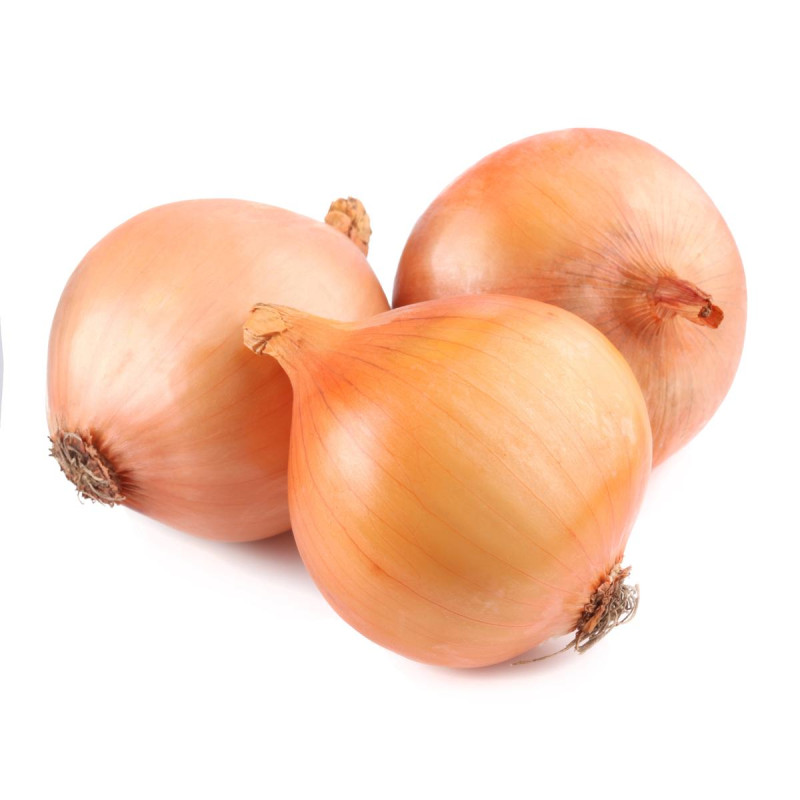 OIGNON JAUNE CAL.50+ FILET 5KG