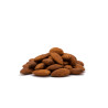 AMANDES SUPREMES 23/25 CRUES 40X500GR