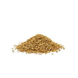 SESAME DORE 24X500GR