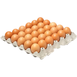 OEUFS BRUNS TAILLE M 6X30...