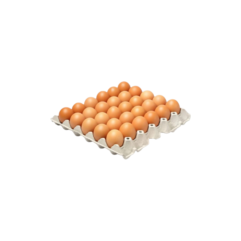 OEUFS BRUNS TAILLE M 6X30 OEUFS/COLIS