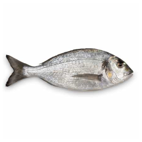 DORADE G&V 150/300 5KG