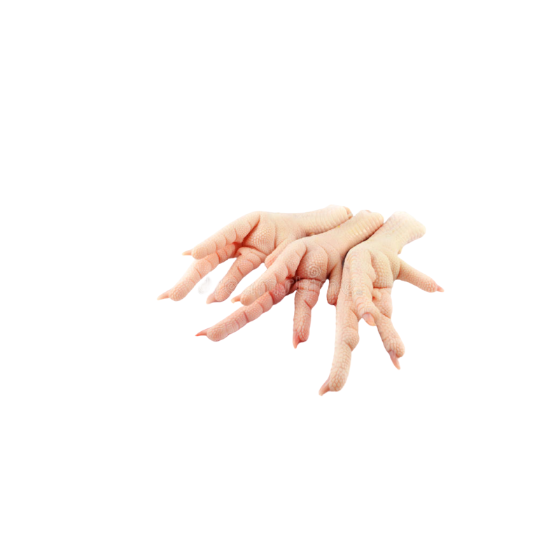 PATTES DE POULET 10X1KG