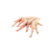 PATTES DE POULET 10X1KG
