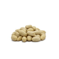 ARACHIDE BLANCHIE CRUES 12X1KG