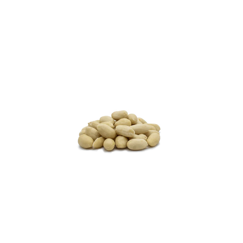 ARACHIDE BLANCHIE CRUES 24X500GR