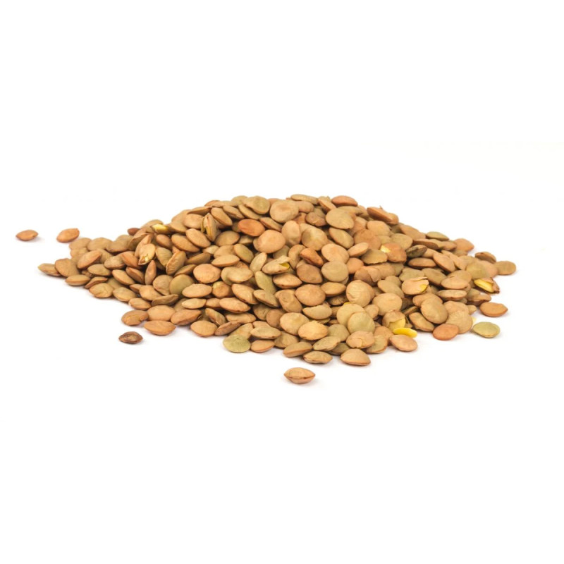 LENTILLE BRUNE 12X1KG
