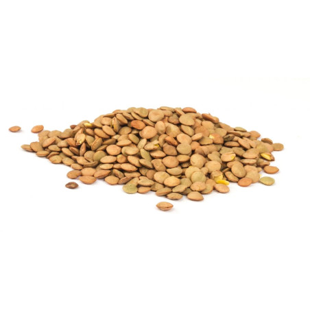 LENTILLE BRUNE 12X1KG