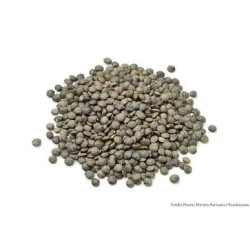 LENTILLES VERTES 12X1KG