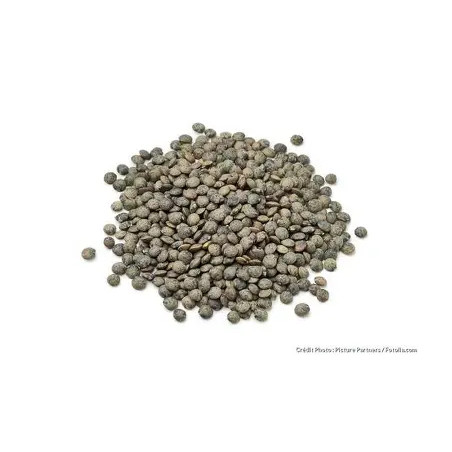 LENTILLES VERTES 12X1KG