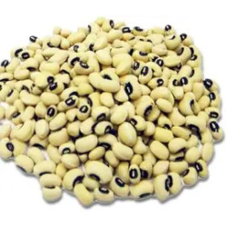 HARICOT CORNILLE TOGO 15X1KG
