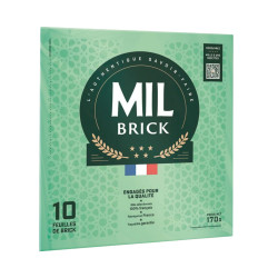 FEUILLES BRICK 100X170 GR