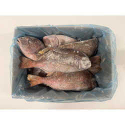 DORADE ROSE ESP 800-1200 VRAC 5KG