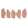 FILET POULET HALAL CGL 3X2KG