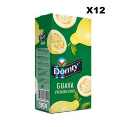 NECTAR GOYAVE DOMTY 12X1L
