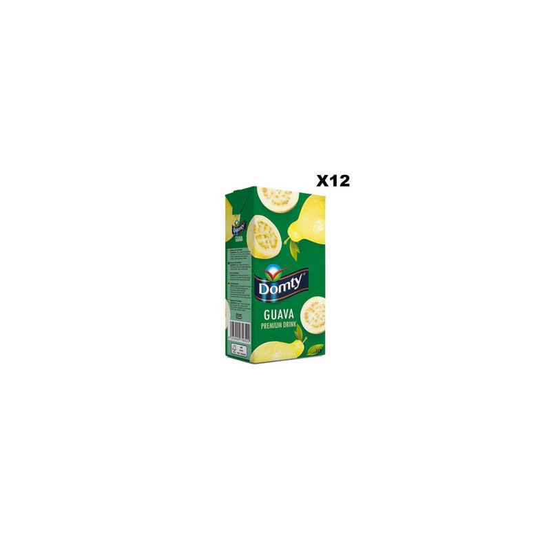 NECTAR GOYAVE DOMTY 12X1L