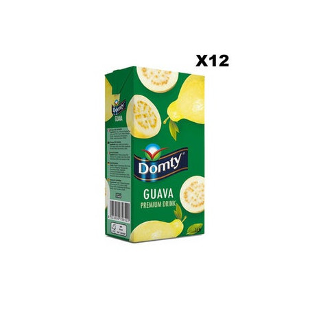 NECTAR GOYAVE DOMTY 12X1L