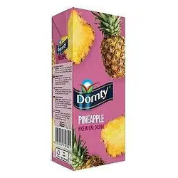 NECTAR ANANAS DOMTY 12X1L