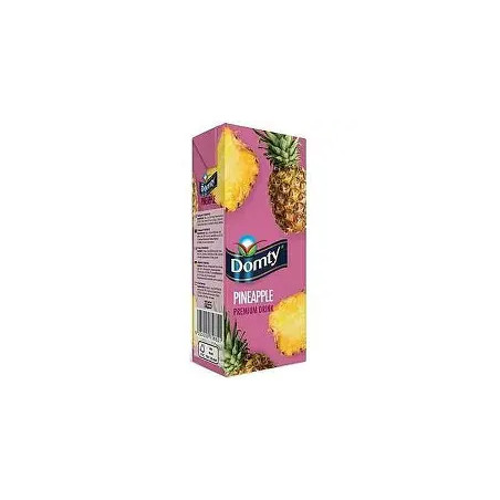 NECTAR ANANAS DOMTY 12X1L