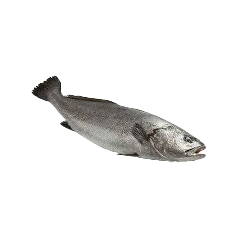 COURBINE ENT. V/G 400/600G 10KG