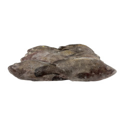 MEROU ENTIER 500+ ARG 10KG