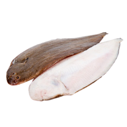 SOLE TIGRE ENTIER 300/400 10KG