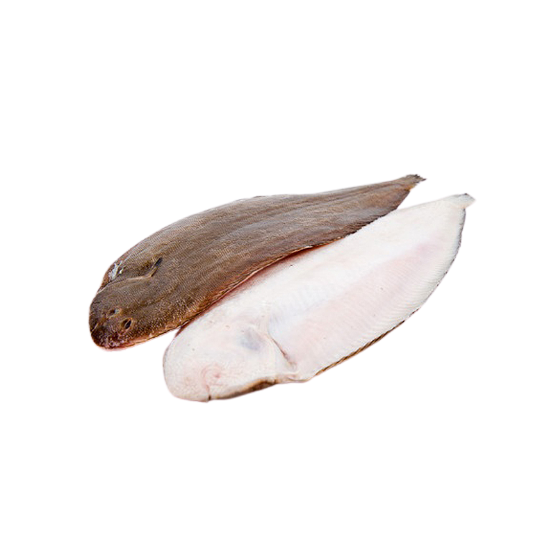 SOLE TIGRE ENTIER 300/400 10KG