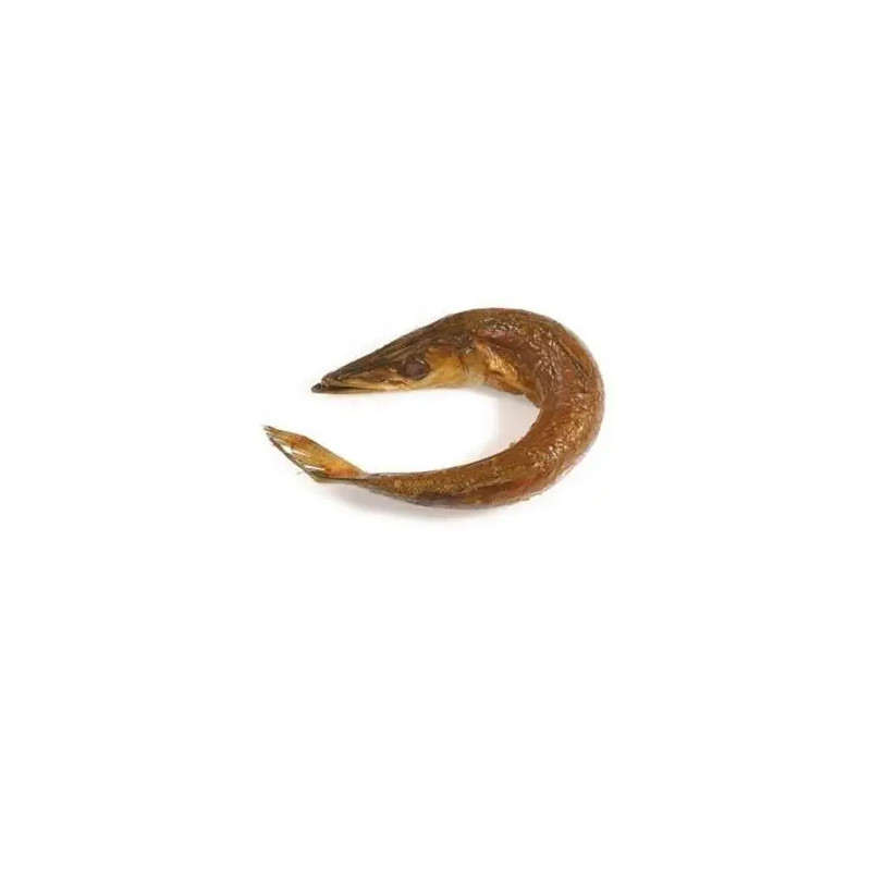 BARRACUDA COURBE FUME 5KG
