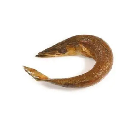 BARRACUDA COURBE FUME 5KG