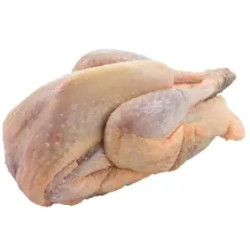 PINTADE CLASSE A 6PIECE...