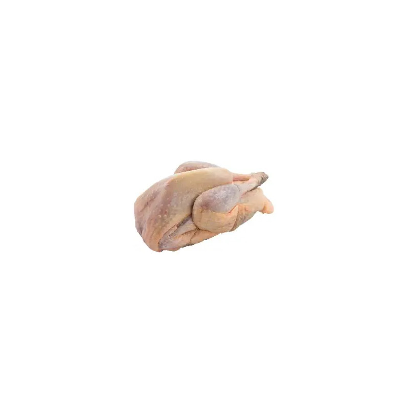 PINTADE CLASSE A 6PIECE 1.5-1.7KG