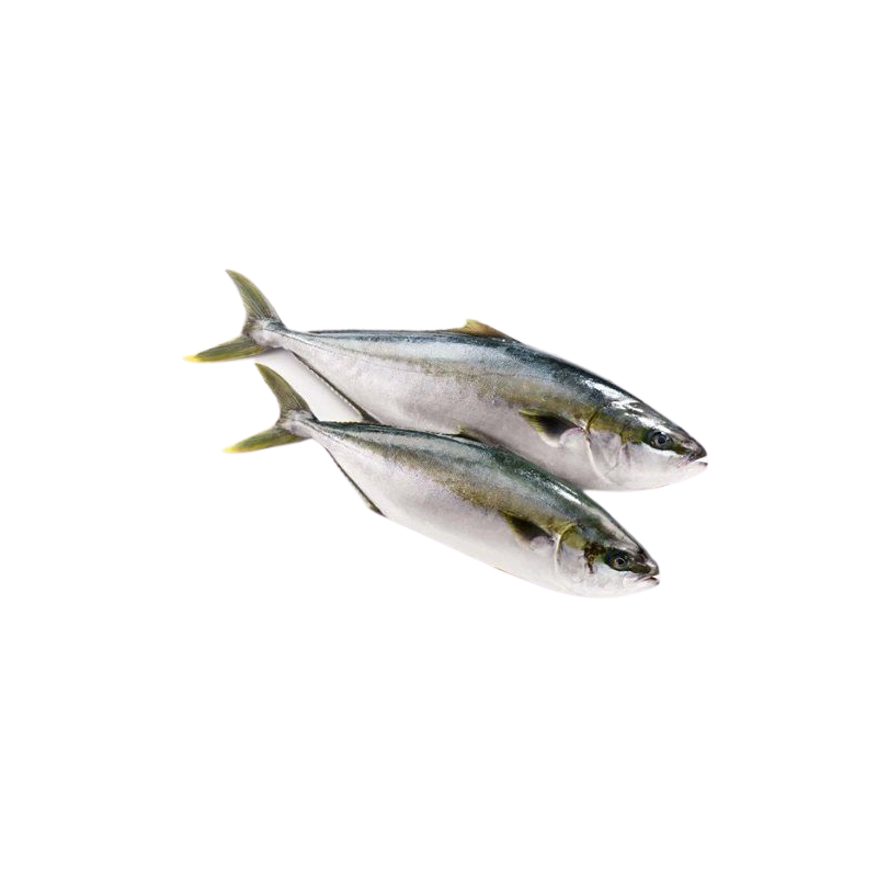 CARANGUE YELLOW ENT 1.2KG/1.6KG COREE SUD 20KG