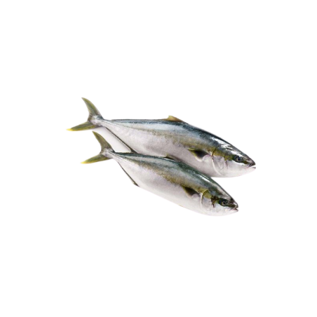 CARANGUE YELLOW ENT 1.2KG/1.6KG COREE SUD 20KG