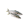 CARANGUE YELLOW ENT 1.2KG/1.6KG COREE SUD 20KG